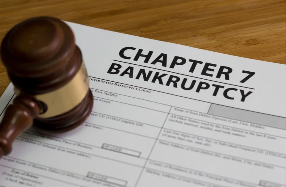 Chapter 7 bankruptcy filing form